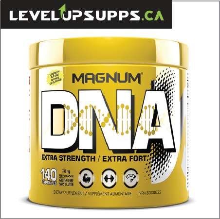 Magnum DNA